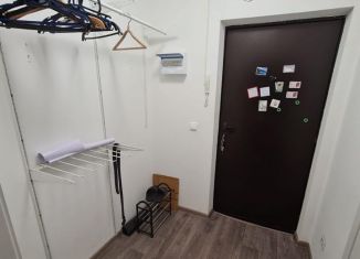 Квартира на продажу студия, 24 м2, поселок Бугры, Воронцовский бульвар, 5к4, ЖК Мурино 2019