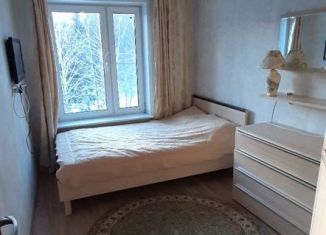 Аренда 2-комнатной квартиры, 60 м2, деревня Литвиново, деревня Литвиново, 1