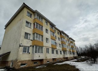 Продается 3-комнатная квартира, 64.2 м2, деревня Березняки, деревня Березняки, 10А