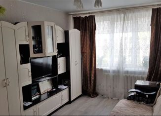 Продается двухкомнатная квартира, 52.5 м2, рабочий посёлок Палкино, Псковская улица, 4