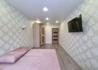 Сдается однокомнатная квартира, 41 м2, Иркутск, улица Летописца Нита Романова, 31