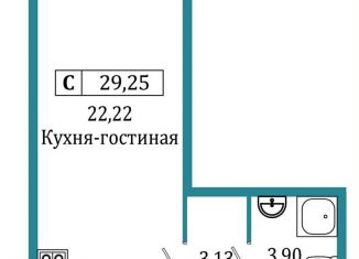 Продам квартиру студию, 29.3 м2, Ленинградская область, Екатерининская улица, 16/5