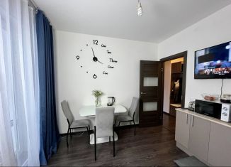 Продам 2-комнатную квартиру, 50 м2, Санкт-Петербург, Красносельский район, проспект Ветеранов