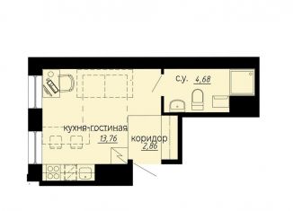 Продается квартира студия, 21.3 м2, Санкт-Петербург, метро Политехническая