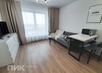 Сдача в аренду квартиры студии, 21.3 м2, Москва, станция Щербинка, Варшавское шоссе, 282к2