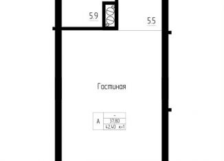 Продажа однокомнатной квартиры, 42.4 м2, Калининградская область