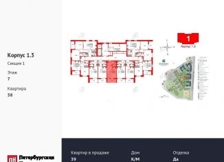 Продажа квартиры студии, 24.1 м2, Санкт-Петербург, муниципальный округ Коломяги