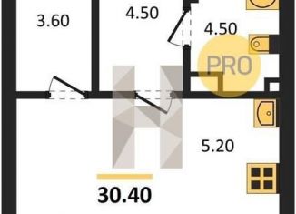 Продам квартиру студию, 30.4 м2, Екатеринбург, метро Чкаловская, улица Академика Парина, 12/6