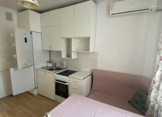 1-комнатная квартира в аренду, 30 м2, Краснодар, улица Селезнёва, Карасунский округ