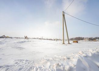 Продается земельный участок, 131 сот., село Лебедевка, Центральная улица