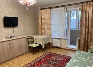 1-комнатная квартира в аренду, 40 м2, Москва, Снайперская улица, 7, метро Выхино