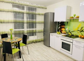 Однокомнатная квартира в аренду, 38 м2, Екатеринбург, улица Блюхера, ЖК Современник