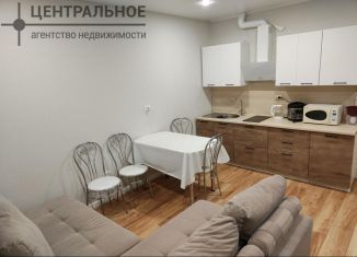 1-комнатная квартира на продажу, 28.2 м2, Казань, ЖК Палитра