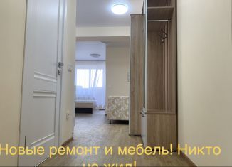 Сдам в аренду 1-комнатную квартиру, 38 м2, Иркутск, улица Пискунова, 148, ЖК Порт-Артур