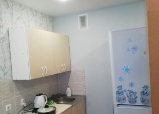 Сдам квартиру студию, 25 м2, Новосибирск, улица Забалуева, 90