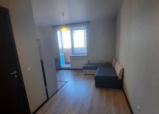 Квартира в аренду студия, 30 м2, Московская область, улица Калинина, 24