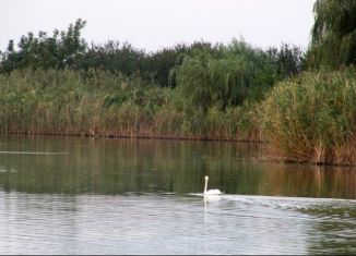 Продаю земельный участок, 6.5 сот., станица Старовеличковская, Красная улица