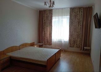 Аренда однокомнатной квартиры, 45 м2, Нижегородская область, улица Родионова, 45