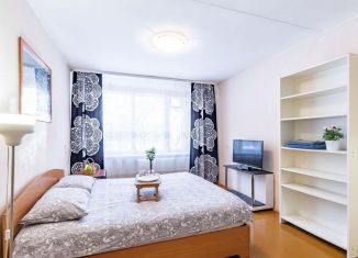 1-комнатная квартира в аренду, 29 м2, Екатеринбург, улица Чайковского, 88к1, улица Чайковского