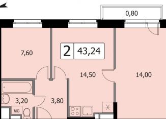 Продам двухкомнатную квартиру, 43.2 м2, сельский посёлок Новинки, ЖК Новинки Смарт Сити