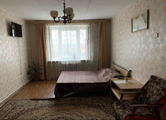 Сдается в аренду 1-комнатная квартира, 40 м2, Жуковка, Первомайский переулок, 2А