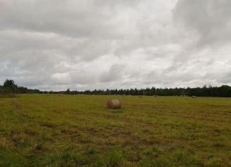 Продам земельный участок, 10000 сот., Вындиноостровское сельское поселение