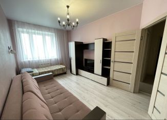 2-комнатная квартира в аренду, 65 м2, Омская область, улица Красный Путь, 105к1