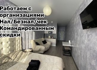 Сдаю квартиру студию, 30 м2, Московская область, Комсомольская улица, 1