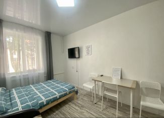 Квартира в аренду студия, 20 м2, Ижевск, улица Орджоникидзе, 18, Южный жилой район