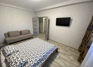 Двухкомнатная квартира в аренду, 57 м2, Ульяновск, Самарская улица, 27, Засвияжский район