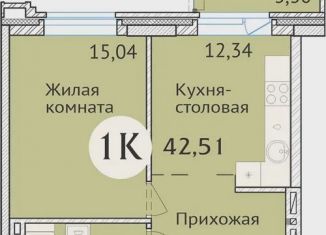 Продаю однокомнатную квартиру, 42.6 м2, Новосибирск, улица Дуси Ковальчук, 248/1