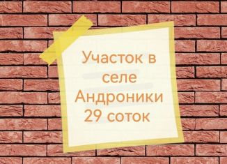 Продаю земельный участок, 29 сот., село Андроники