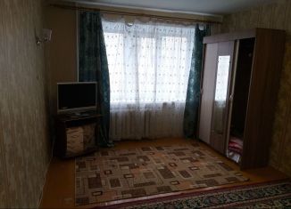 Сдача в аренду 1-комнатной квартиры, 30 м2, Челябинская область, улица имени Степана Разина, 48