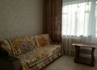 1-комнатная квартира в аренду, 29 м2, Екатеринбург, улица Токарей, 44к1, метро Динамо