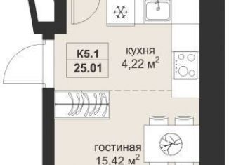 Продажа квартиры студии, 25 м2, Казань, Вахитовский район