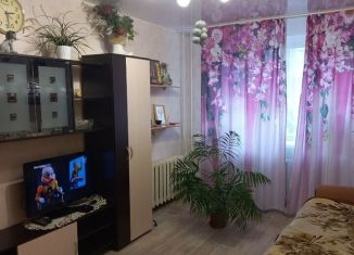 Продаю двухкомнатную квартиру, 41.6 м2, Нижегородская область, Светлогорский переулок, 16