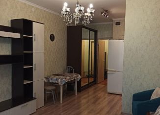Аренда 1-комнатной квартиры, 30 м2, Московская область, микрорайон Богородский, 1