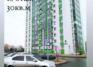 Квартира в аренду студия, 27 м2, Казань, Удивительная улица, 9, ЖК Весна