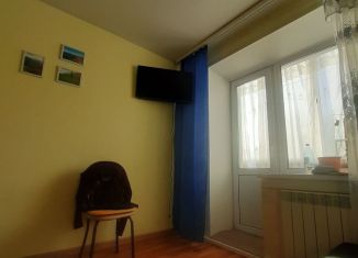 Сдача в аренду 1-комнатной квартиры, 30 м2, Новосибирск, Широкая улица, 15