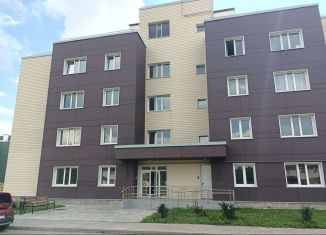 Продается 4-комнатная квартира, 117.6 м2, деревня Болтино, улица Баздырева, 5, ЖК Болтино