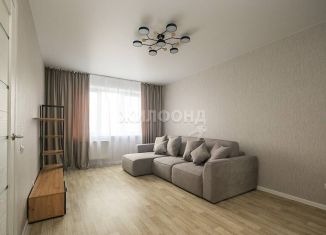 Продажа 1-комнатной квартиры, 40.7 м2, Новосибирская область, микрорайон Околица, 3