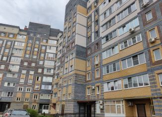 Однокомнатная квартира на продажу, 42.5 м2, Нижегородская область, улица Луначарского, 208