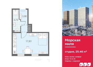 Квартира на продажу студия, 25.5 м2, Санкт-Петербург, муниципальный округ Юго-Запад