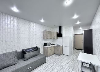 Квартира в аренду студия, 21 м2, Санкт-Петербург, Плесецкая улица, 10, метро Комендантский проспект