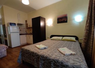 Квартира в аренду студия, 25 м2, село Прибрежное, Евпаторийская улица, 21