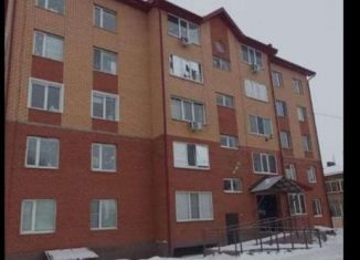 Сдается однокомнатная квартира, 46 м2, Оренбургская область, улица Городок Рудника, 24