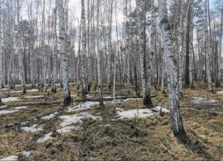 Земельный участок на продажу, 10 сот., ДНТ Падь Еловая, 3-й Южный проезд, 4