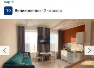 Сдается в аренду квартира студия, 28 м2, Москва, Ботаническая улица, 33Вс1, район Марфино