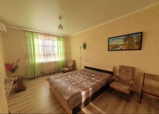 Сдам 1-комнатную квартиру, 45 м2, Краснодарский край, улица Гидростроителей, 67