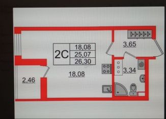 Продам квартиру студию, 25.1 м2, Санкт-Петербург, ЖК Солнечный Город, проспект Будённого, 23к1